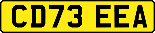 CD73EEA