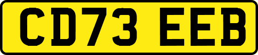 CD73EEB