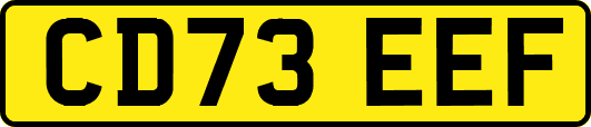 CD73EEF