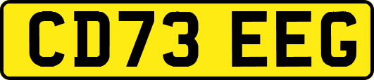 CD73EEG