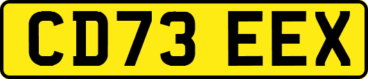CD73EEX