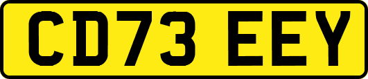 CD73EEY