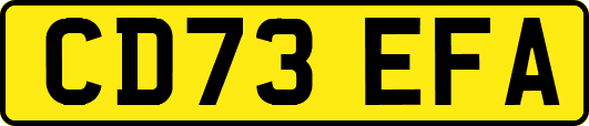 CD73EFA