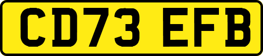 CD73EFB