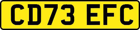 CD73EFC