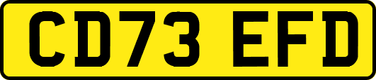 CD73EFD