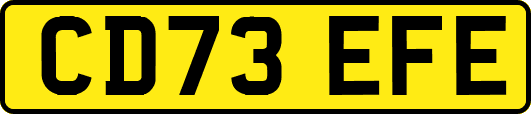 CD73EFE