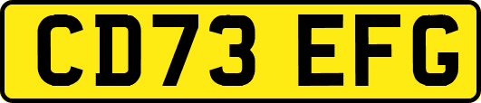 CD73EFG