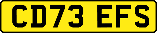 CD73EFS