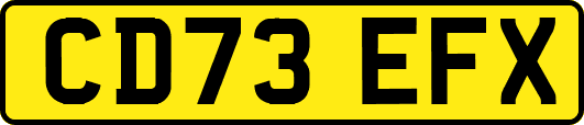 CD73EFX