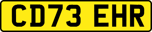 CD73EHR