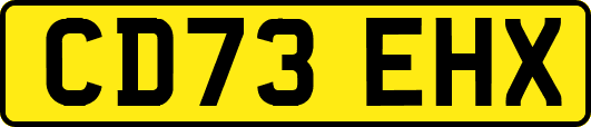 CD73EHX