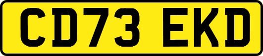 CD73EKD