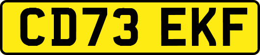 CD73EKF