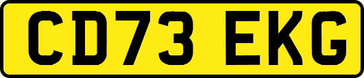CD73EKG