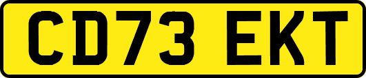 CD73EKT