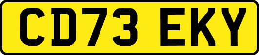 CD73EKY