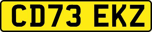 CD73EKZ