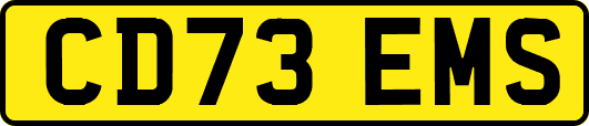 CD73EMS