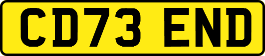 CD73END