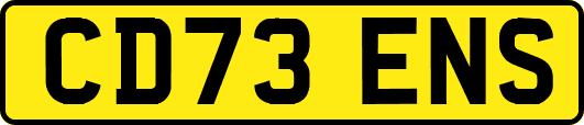 CD73ENS