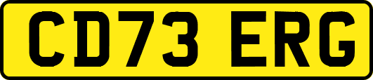 CD73ERG