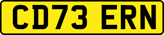 CD73ERN