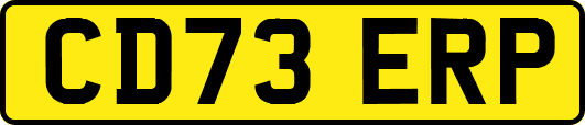 CD73ERP