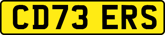 CD73ERS