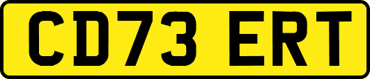 CD73ERT
