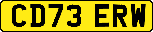 CD73ERW