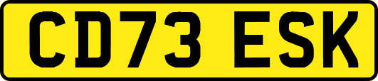 CD73ESK