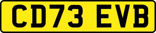CD73EVB