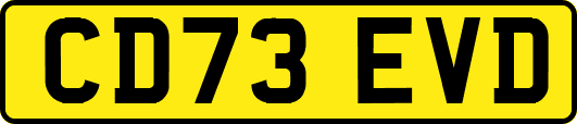 CD73EVD