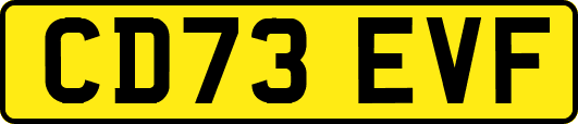 CD73EVF