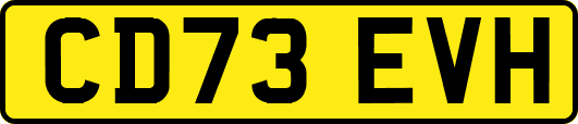 CD73EVH