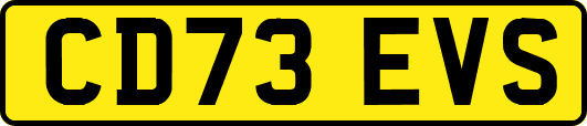 CD73EVS