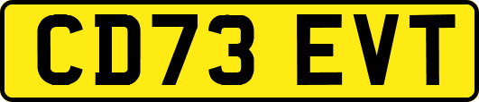 CD73EVT