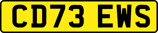 CD73EWS