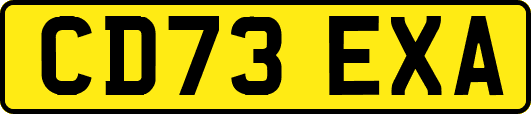 CD73EXA