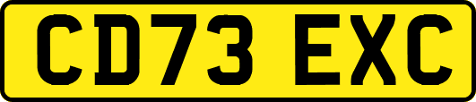 CD73EXC