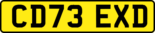 CD73EXD