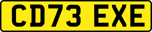 CD73EXE