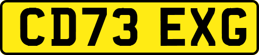 CD73EXG