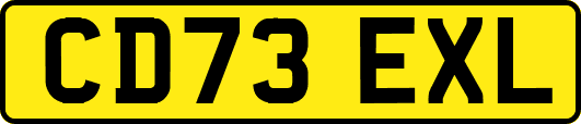 CD73EXL