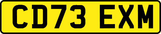 CD73EXM