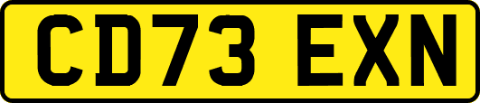 CD73EXN