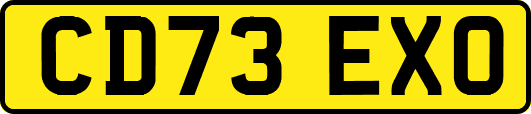 CD73EXO