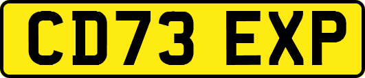 CD73EXP