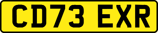 CD73EXR